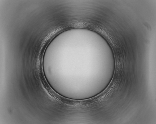 X0000113260674200909101250