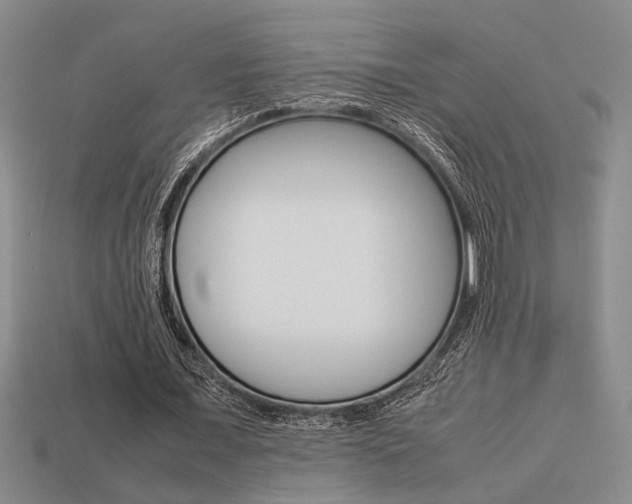 X0000113260675200909101250