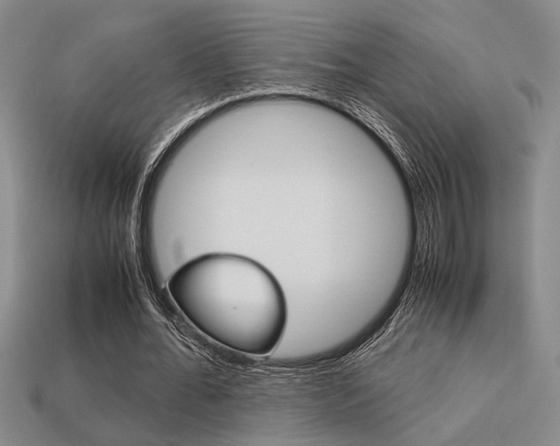 X0000113260676200909101250