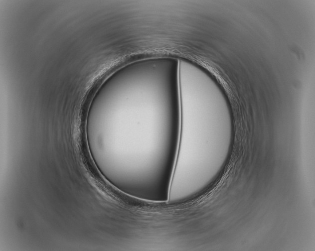 X0000113260677200909101250