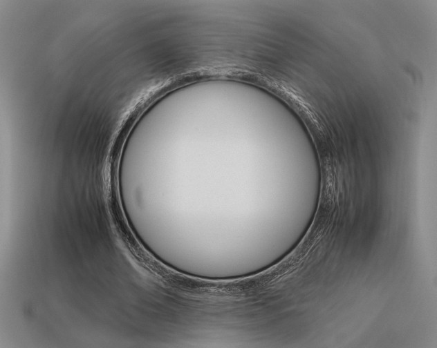 X0000113260678200909101250