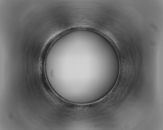 X0000113260680200909101250
