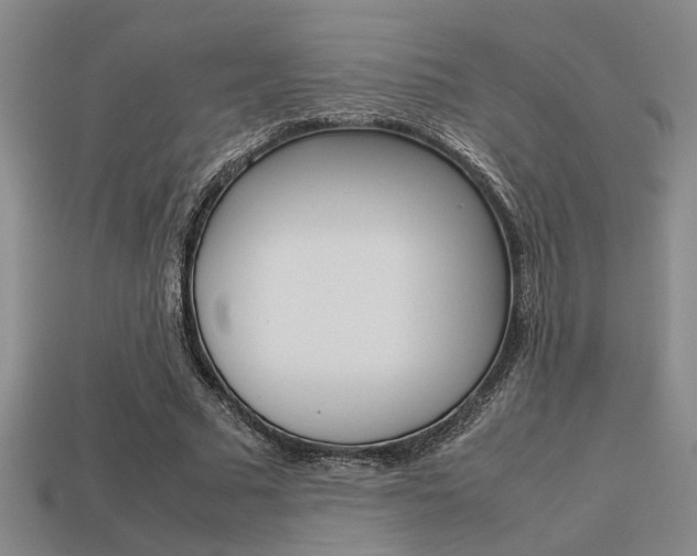 X0000113260681200909101250
