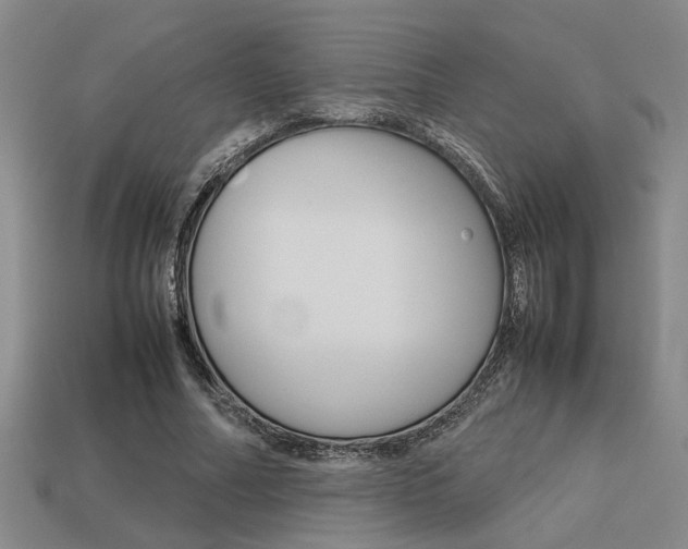X0000113260682200909101250