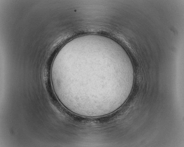 X0000113260683200909101250