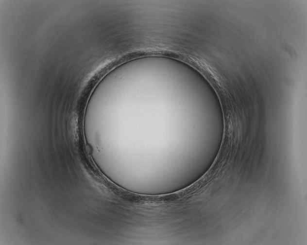 X0000113260684200909101250