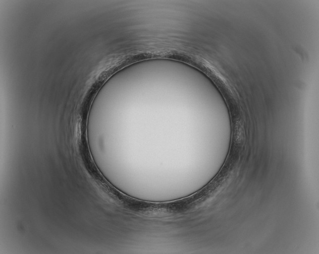 X0000113260685200909101250
