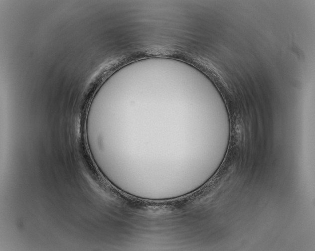 X0000113260686200909101250