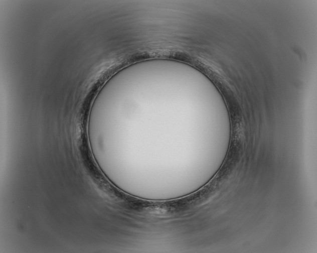 X0000113260687200909101250