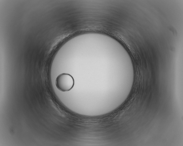 X0000113260688200909101250