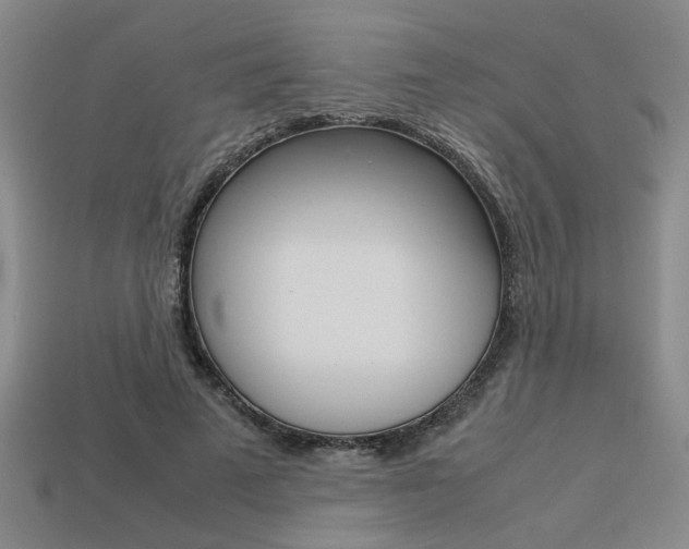 X0000113260689200909101250