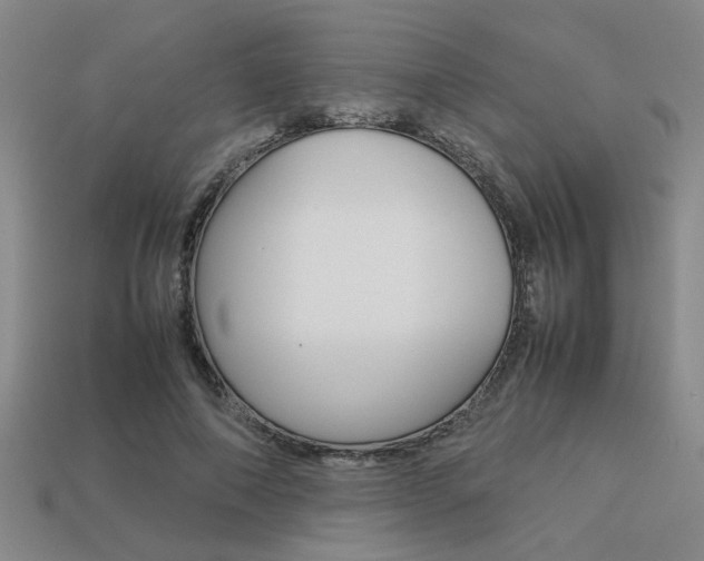 X0000113260690200909101250