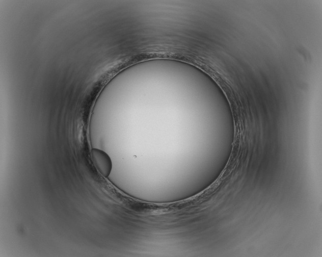 X0000113260692200909101250