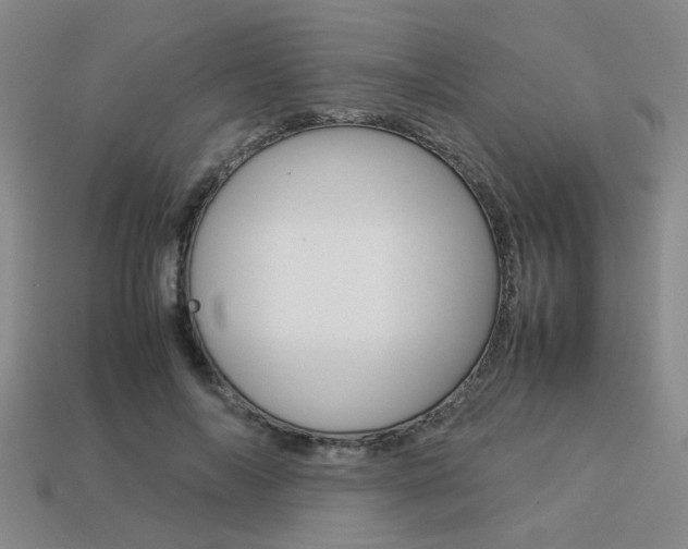 X0000113260694200909101250