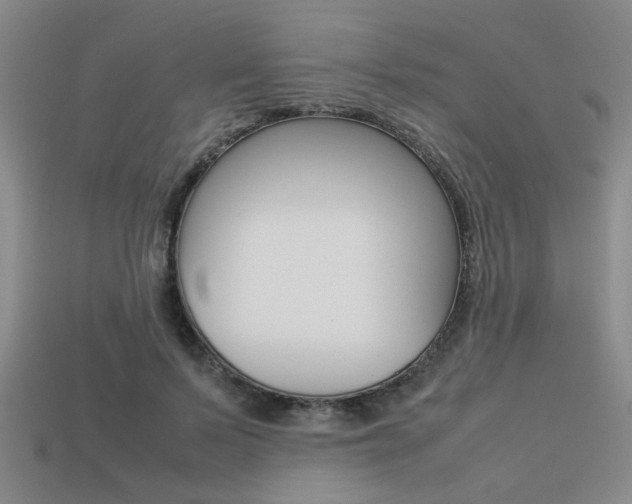 X0000113260695200909101250