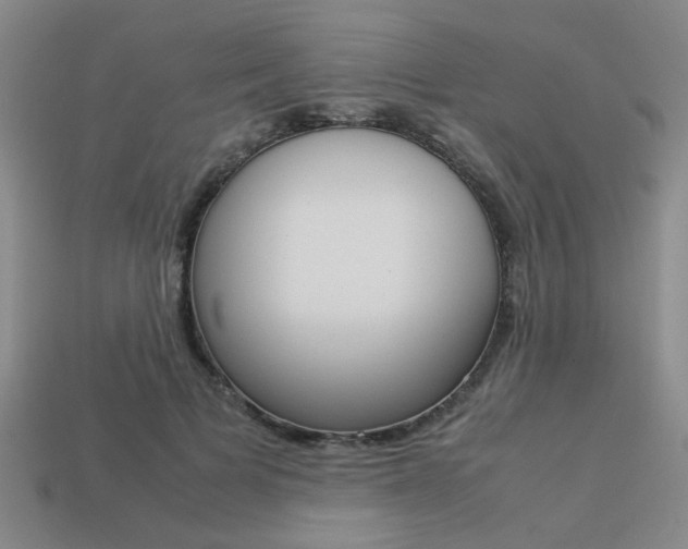 X0000113260697200909101250