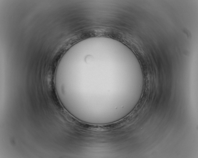 X0000113260698200909101250