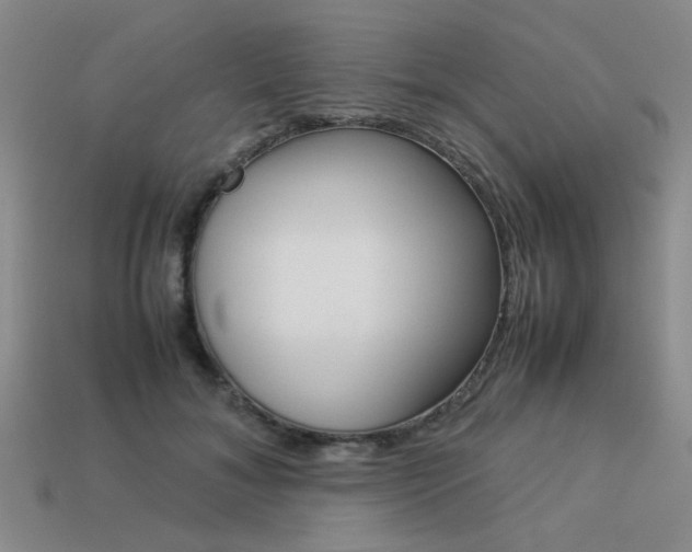X0000113260700200909101250