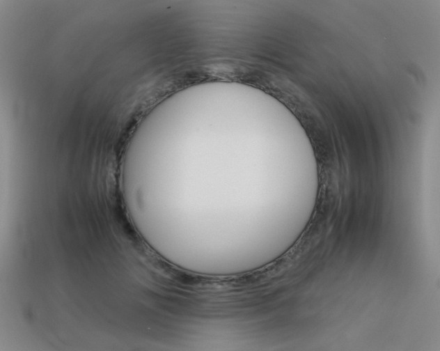 X0000113260702200909101250