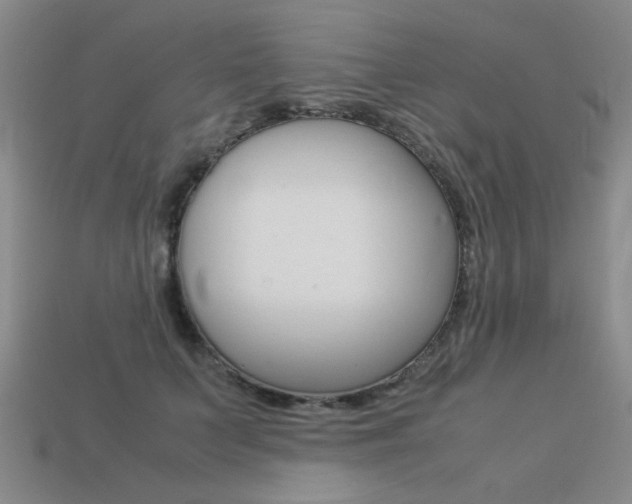 X0000113260703200909101250