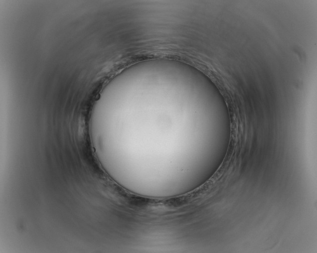 X0000113260704200909101250