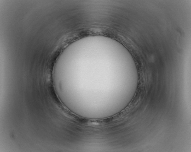 X0000113260706200909101250