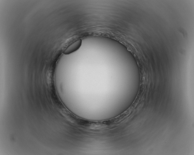 X0000113260708200909101250