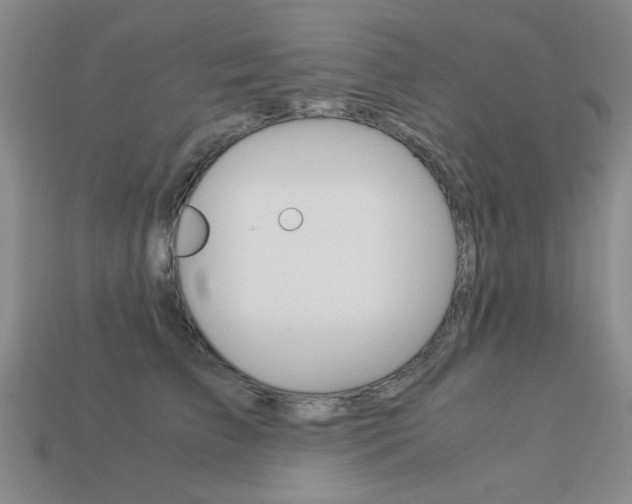 X0000113260709200909101250