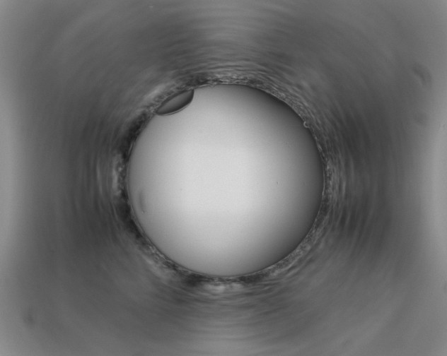 X0000113260712200909101250