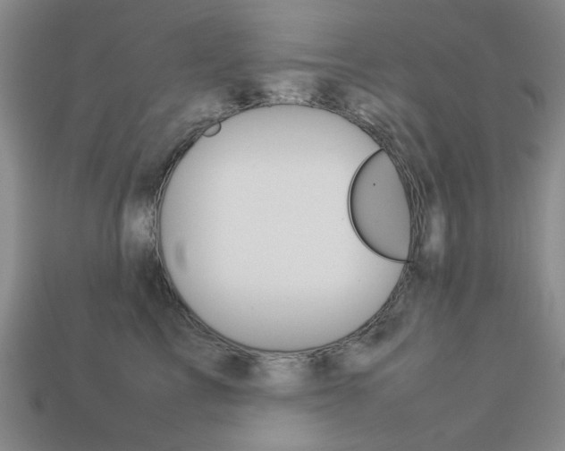 X0000113260713200909101250
