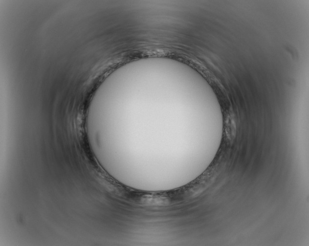 X0000113260714200909101250