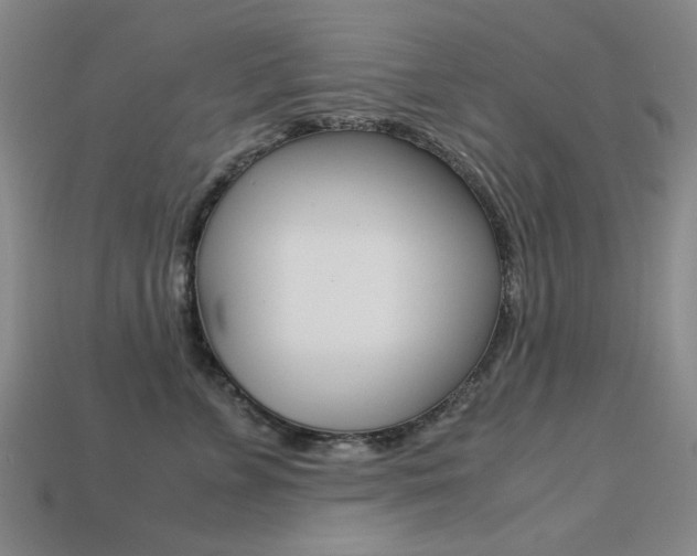 X0000113260715200909101250