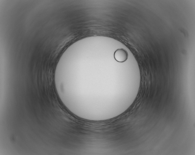 X0000113260716200909101250