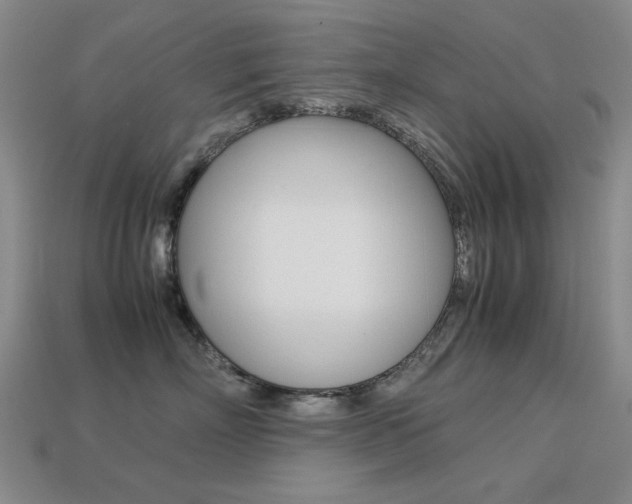 X0000113260718200909101250