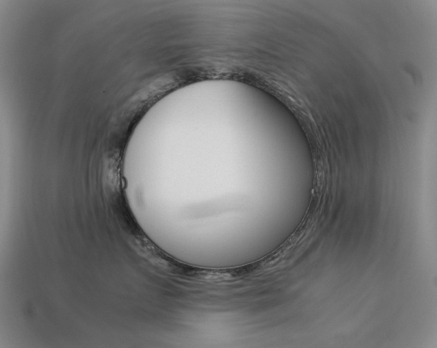 X0000113260719200909101250