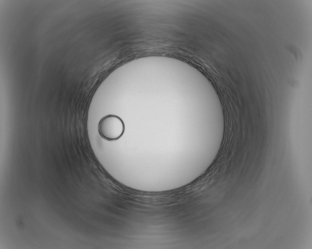 X0000113260720200909101250