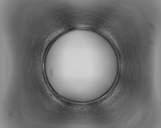 X0000113260721200909101249