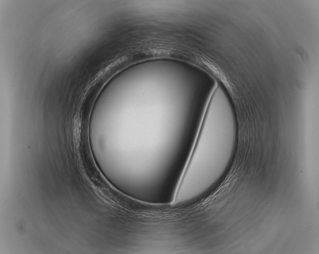 X0000113260722200909101249