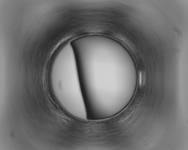 X0000113260723200909101249
