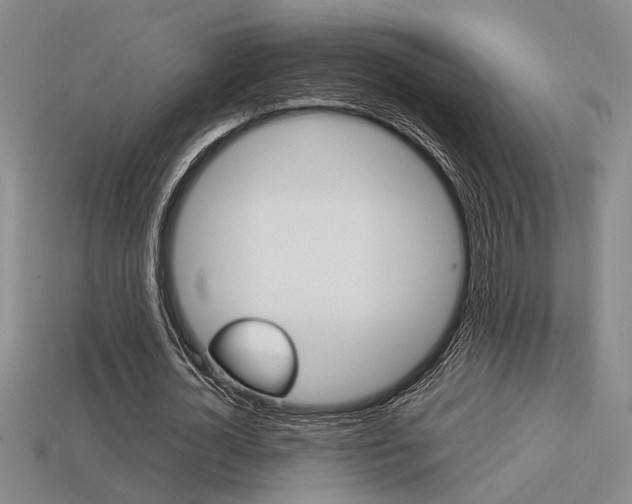 X0000113260724200909101249