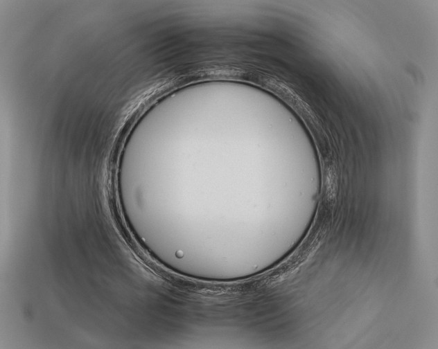 X0000113260725200909101249