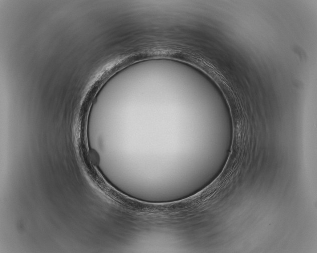 X0000113260726200909101249