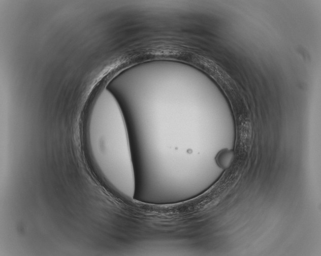 X0000113260727200909101249