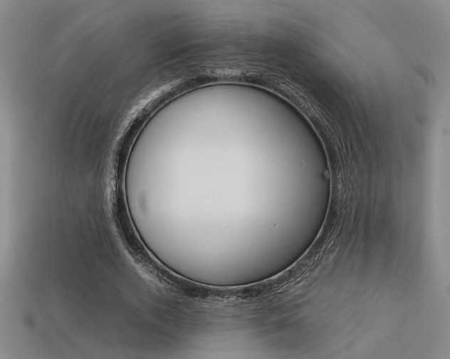 X0000113260728200909101249