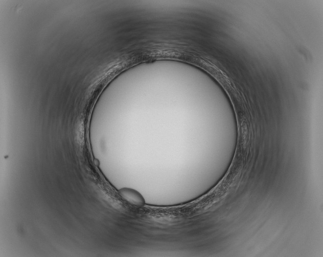 X0000113260729200909101249