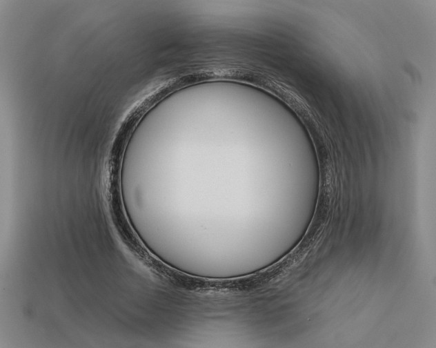 X0000113260730200909101249