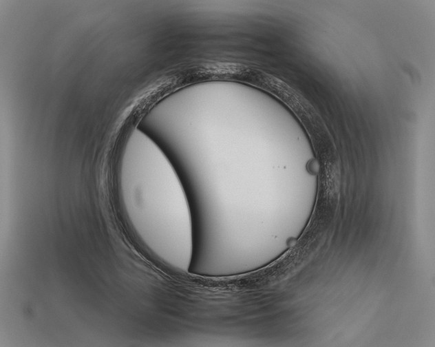 X0000113260731200909101249