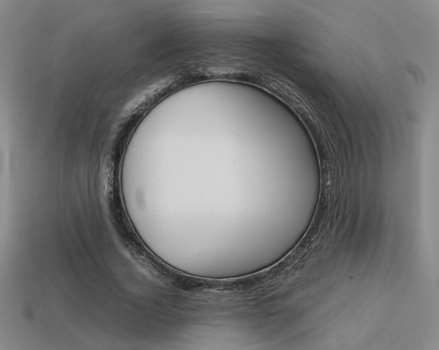 X0000113260732200909101249