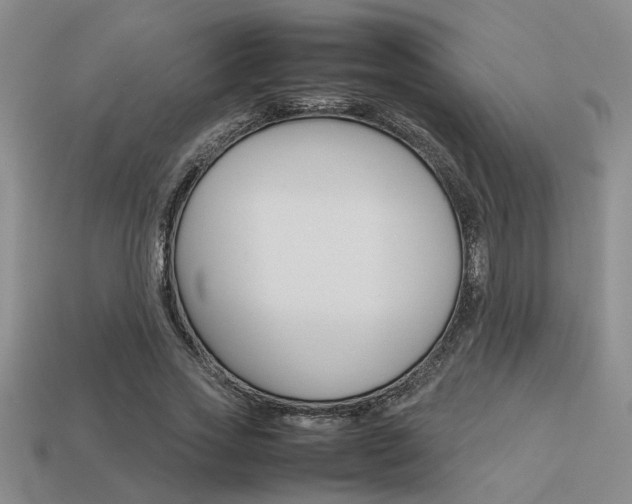 X0000113260733200909101249