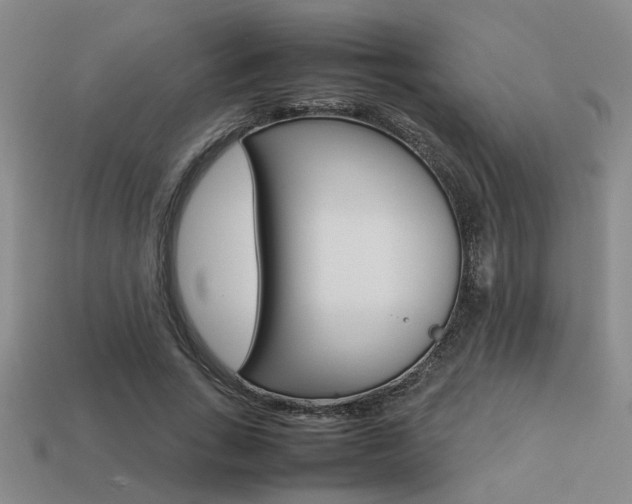 X0000113260735200909101249